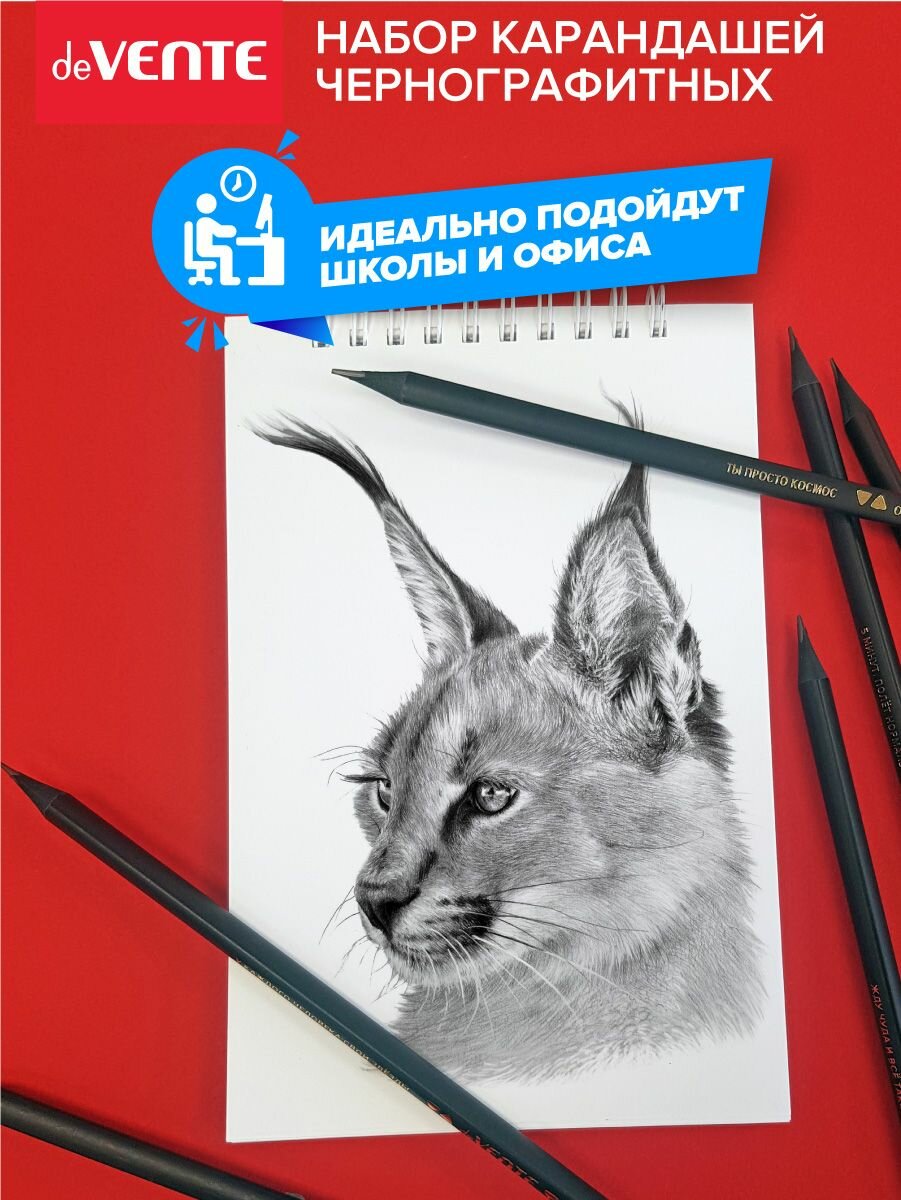 Набор простых чернографитных карандашей для рисования с ластиком и фразами на корпусе 6 шт — фото 1