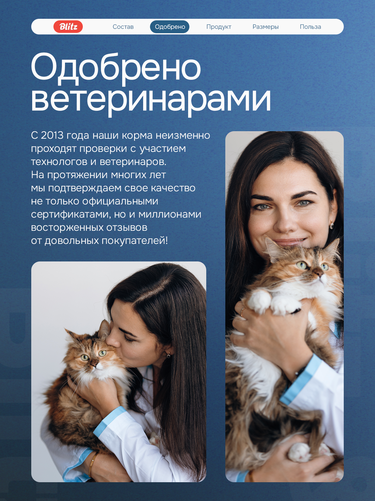 Сухой корм BLITZ STERILISED CATS TURKEY / для стерилизованных кошек с индейкой/ 10 кг — фото 1