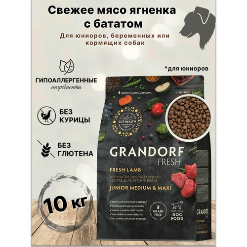 Grandorf Fresh JUNIOR MED&MAXI Lamb&Sweet Potato (Свежее мясо ягненка с бататом для юниоров средних и крупных пород) 10 кг.
