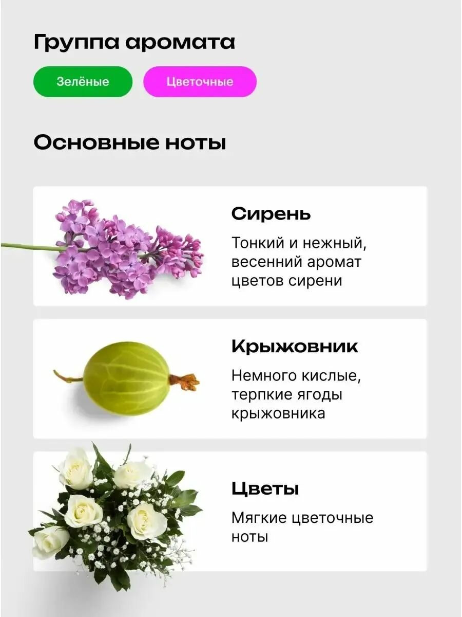 Библиотека ароматов Сирень и крыжовник Масляные духи 3 мл — фото 1