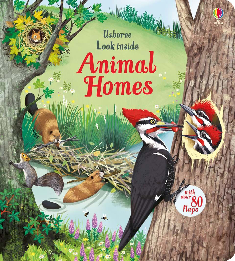 Animal Homes / Книга на Английском