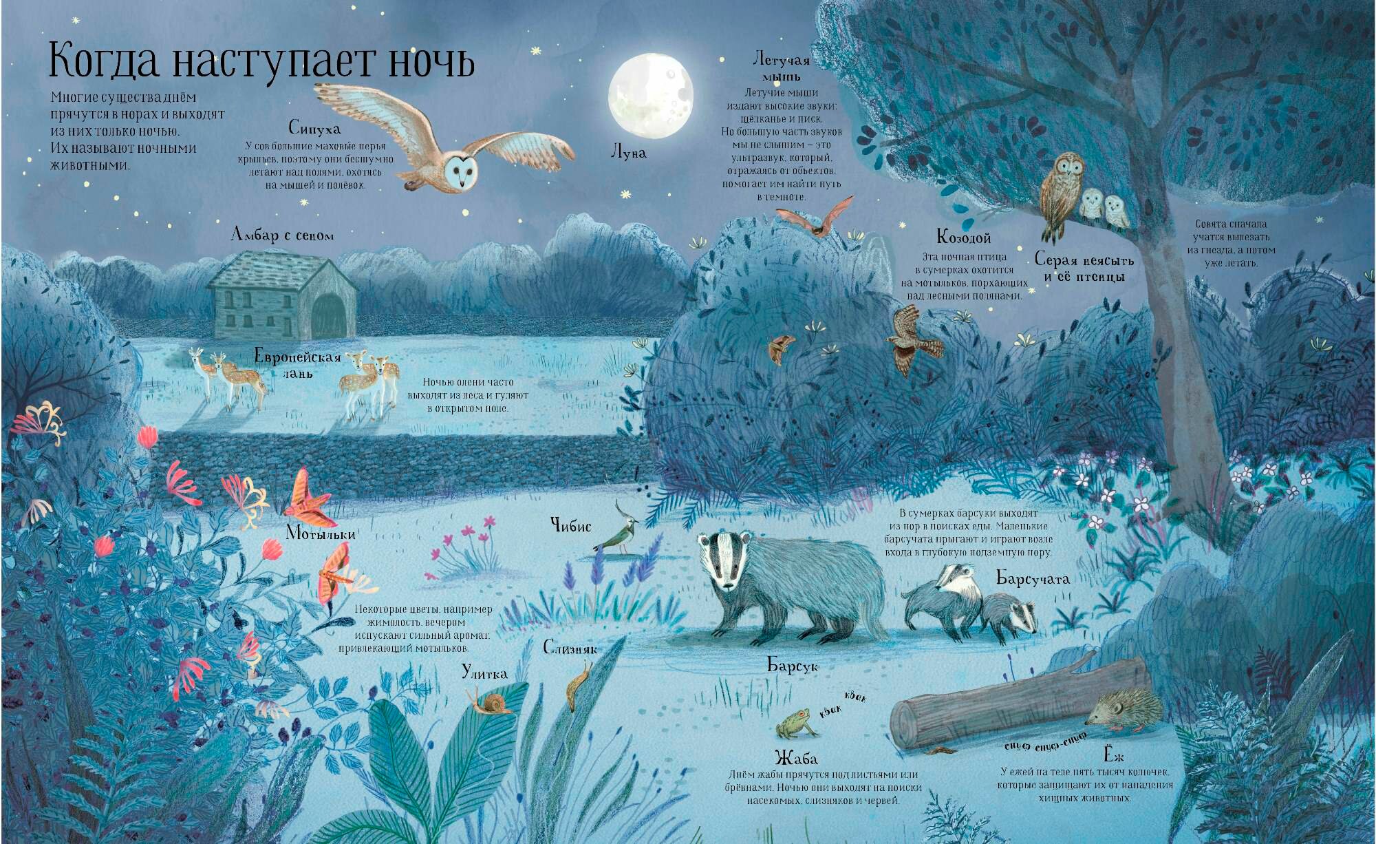 Встречи с дикой природой (Минна Лейси) - фото №10