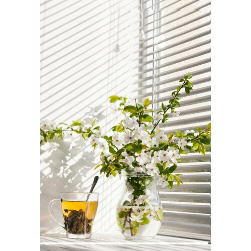 Жалюзи горизонтальные 100160 см супер белые 1218₽