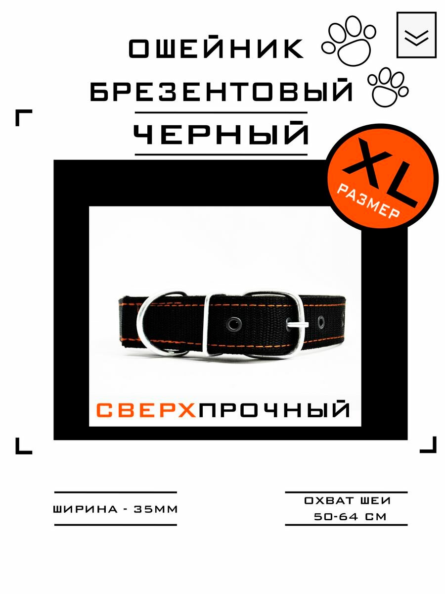 фото Ошейник брезентовый крепкий