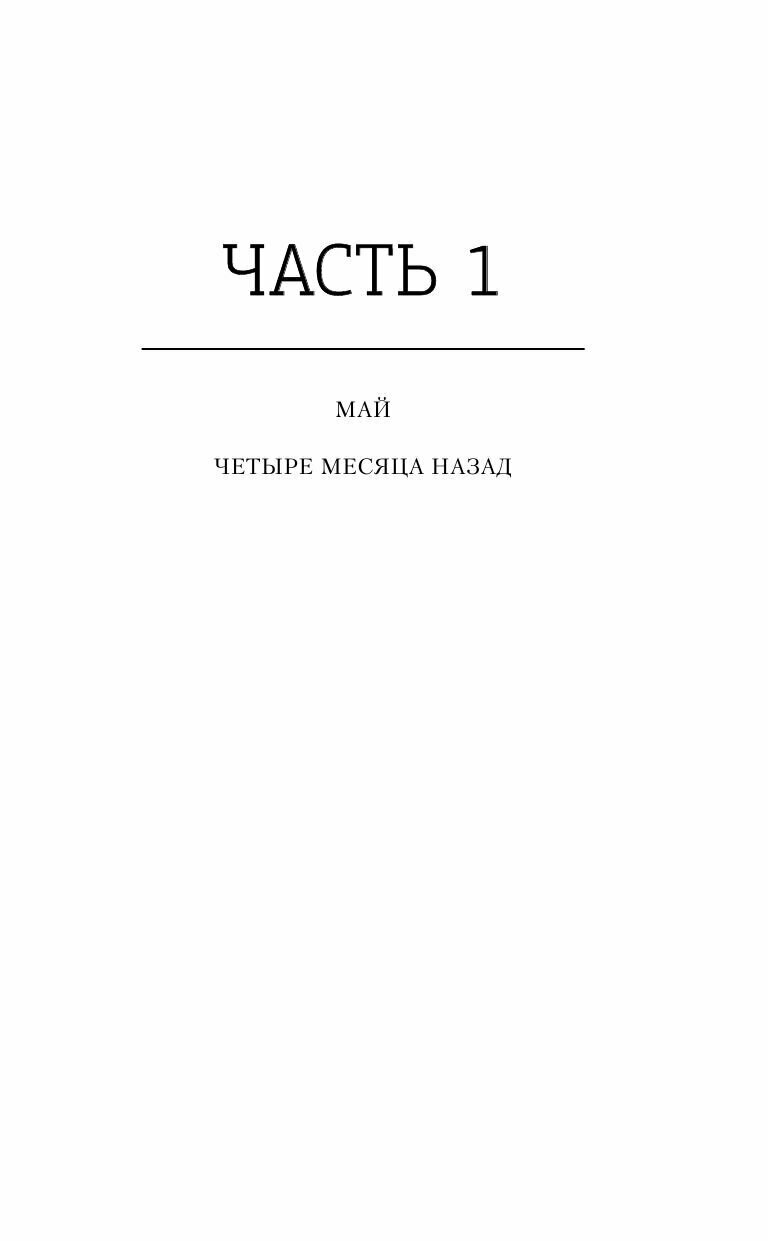 Последний секрет (А. Торре) - фото №8