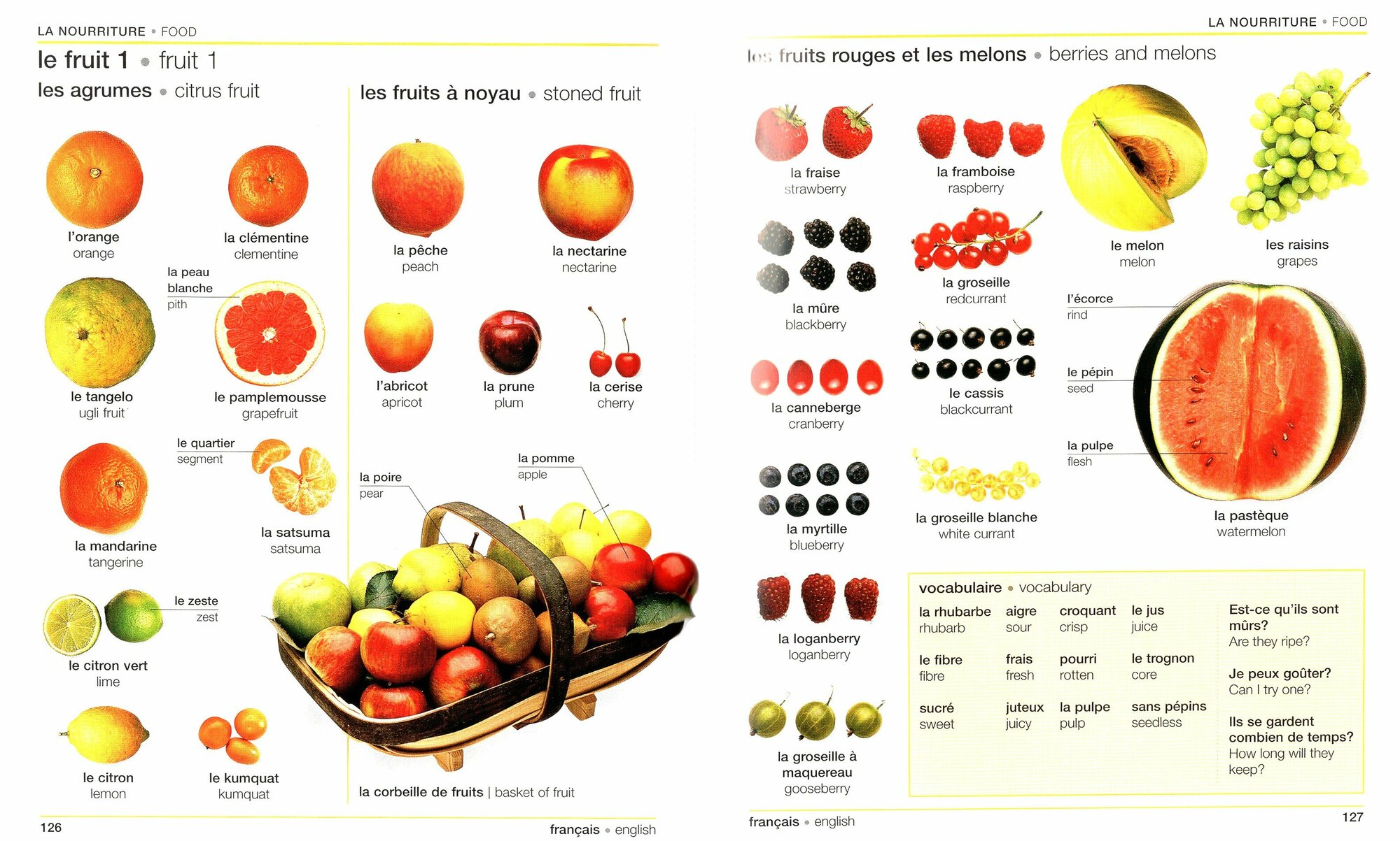 French-English Bilingual Visual Dictionary - фото №10