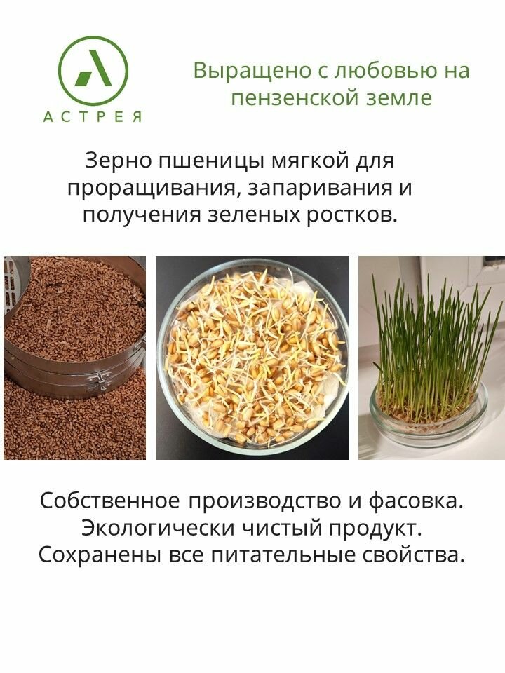 Пшеница мягкая для проращивания