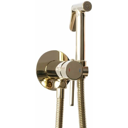Гигиенический душ Rea Loop (REA-B8979) со смесителем, встраиваемый, золото