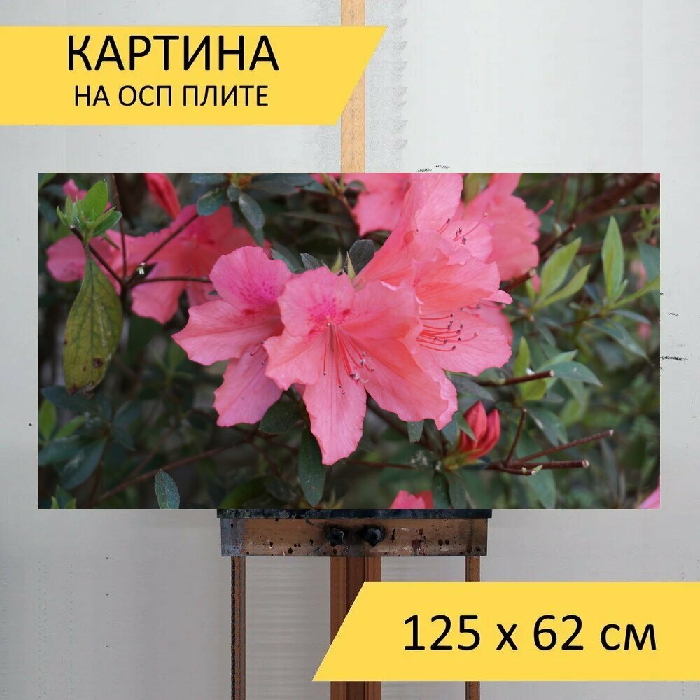 Картина на ОСП 125х62 см. 