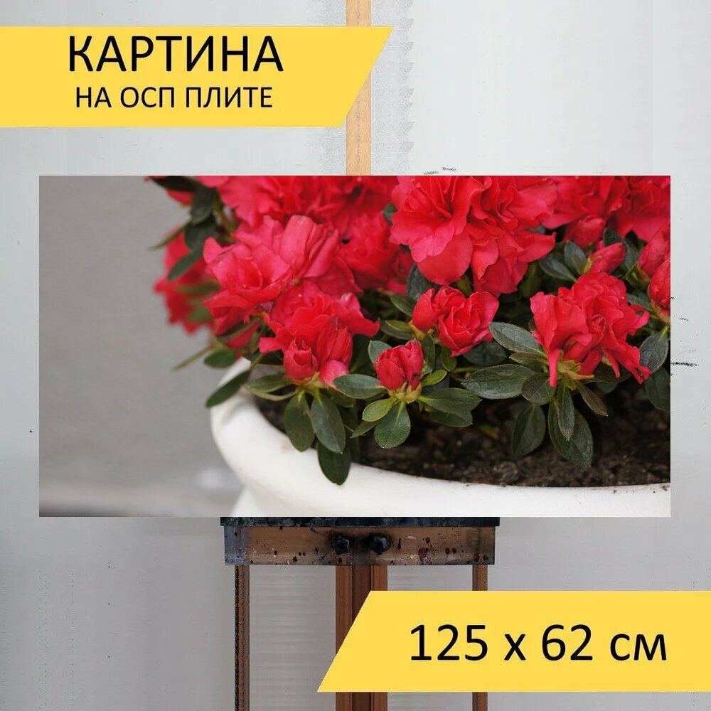 Картина на ОСП 125х62 см. 