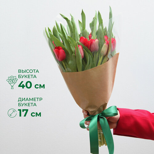 Букет цветов из Тюльпанов 25 шт, цвет красного цвета