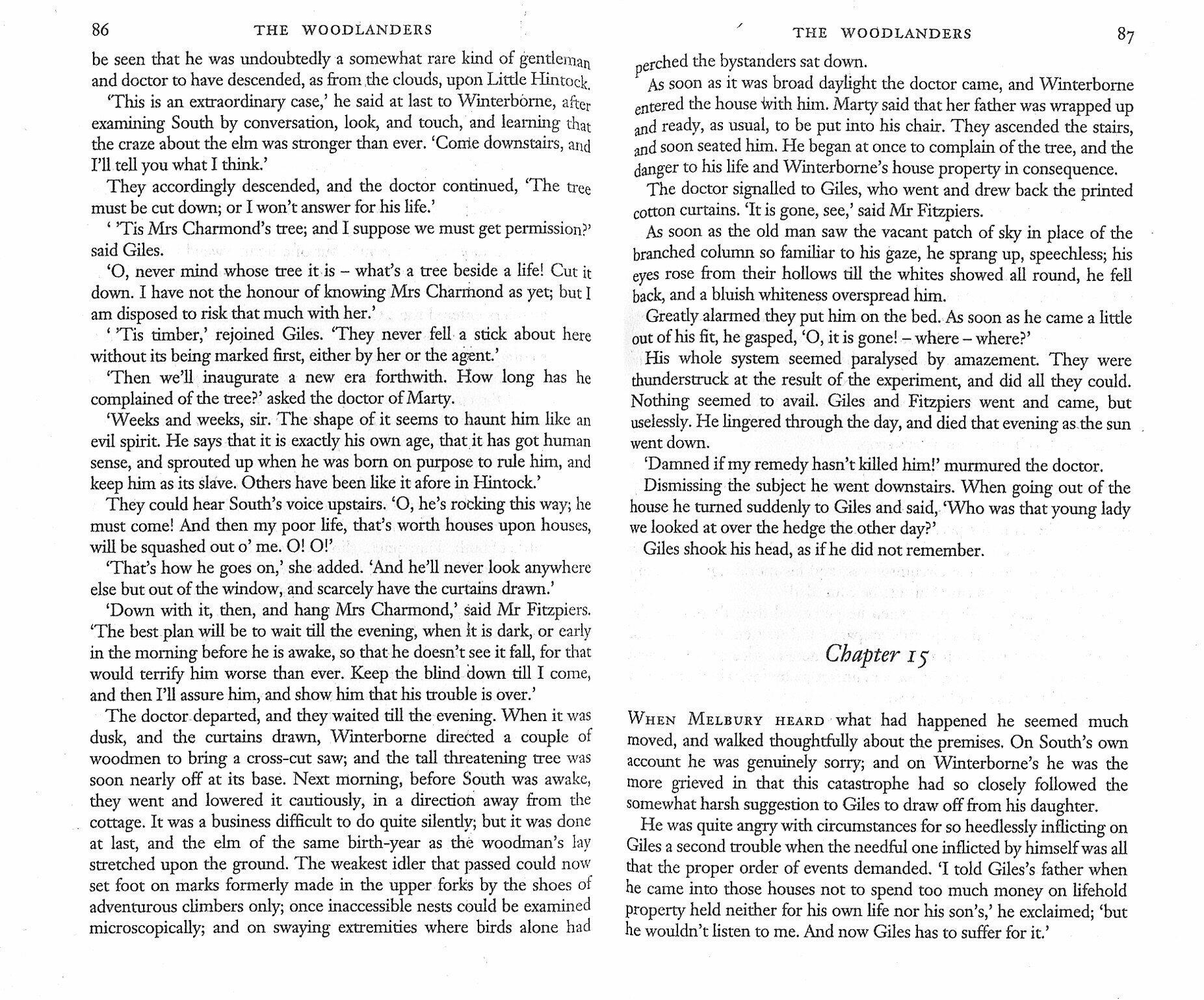 The Woodlanders / Книга на Английском - фото №2