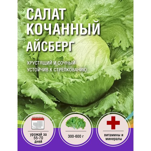 Салат Кочанный Айсберг (1 пакет по 1гр) салат кочанный айсберг 3 пакета по 1гр