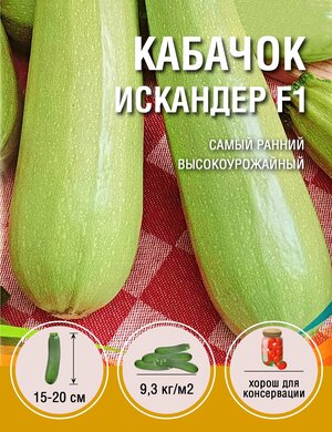 Кабачок Искандер F1 (в 1 пакете 3шт)