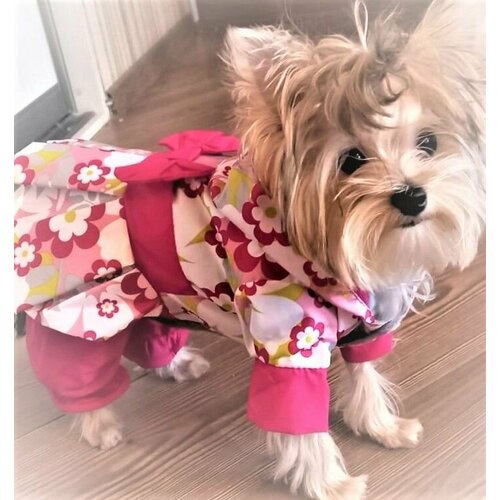 Дождевик Кокетка 