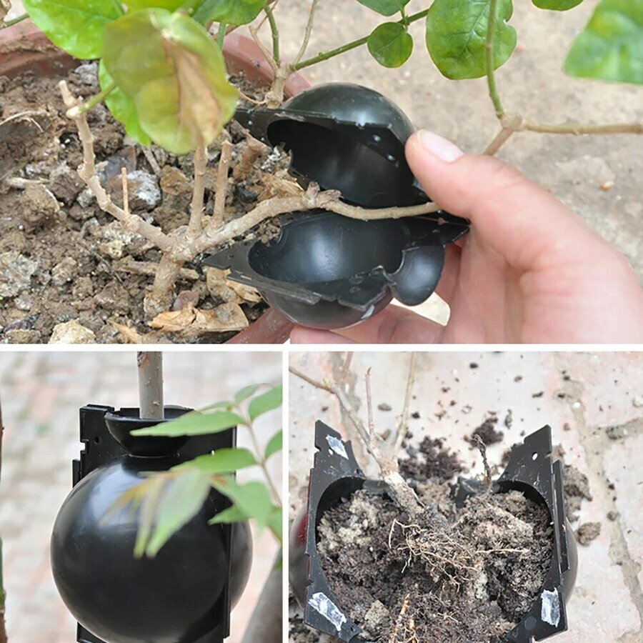 Шарики для выращивания корней 8 см