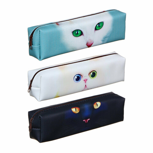 3 Пенала (комплект) прямоугольный, 20,5х6х4см, искусственная кожа с фотопечатью 