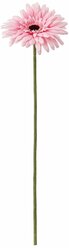 Цветок смикка икеа (SMYCKA IKEA), 50 см, цветок искусственный, гербера, розовый