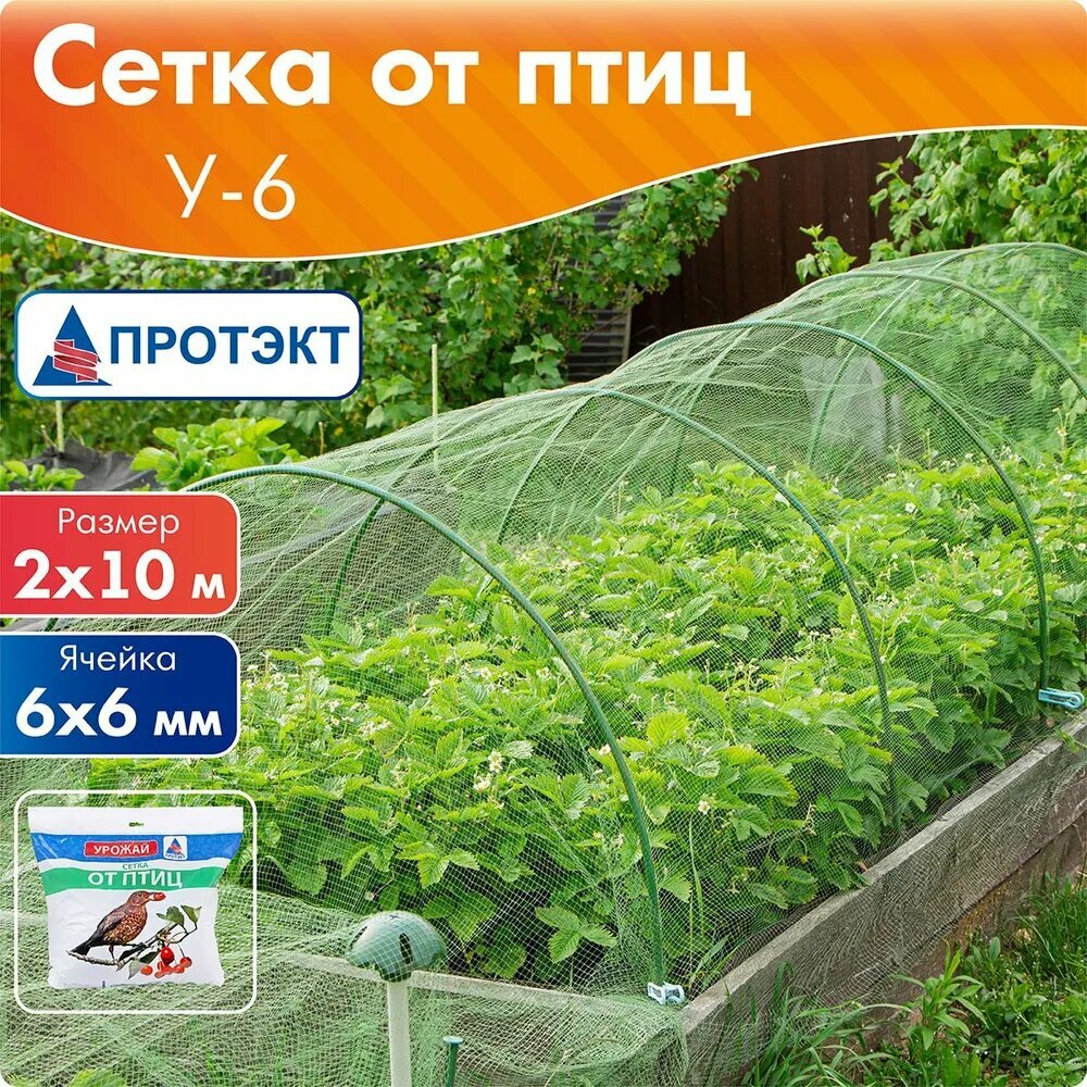 Сетка от птиц 2х5 м Protect - фото №1