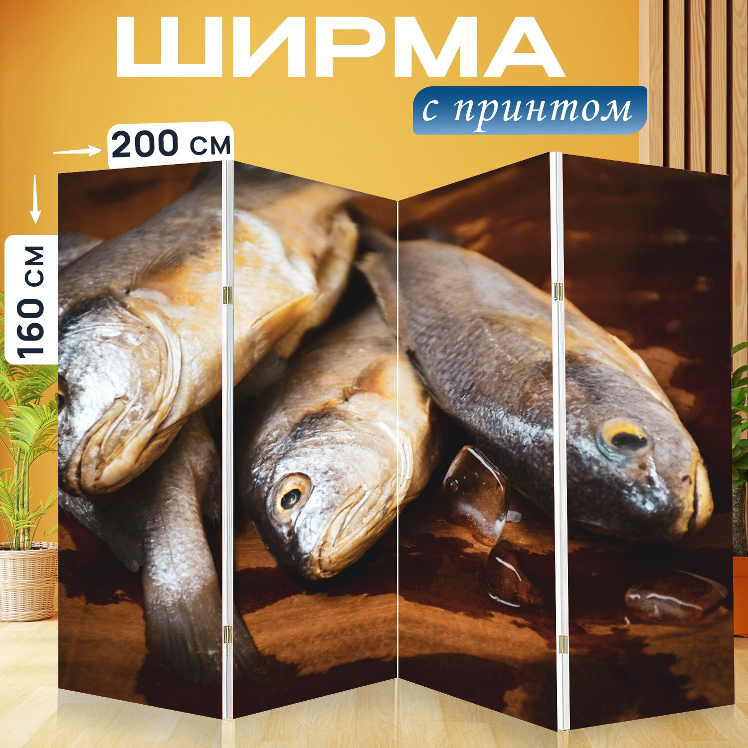 Ширма перегородка с принтом "Рыбы, сырая рыба, морепродукты" на холсте - 200x160 см. для зонирования, раскладная