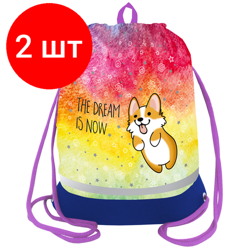 Комплект 2 шт, Мешок для обуви 1 отделение Berlingo Corgi boy, 510*400мм, расшир. дно, светоотражающая лента, карман на молнии