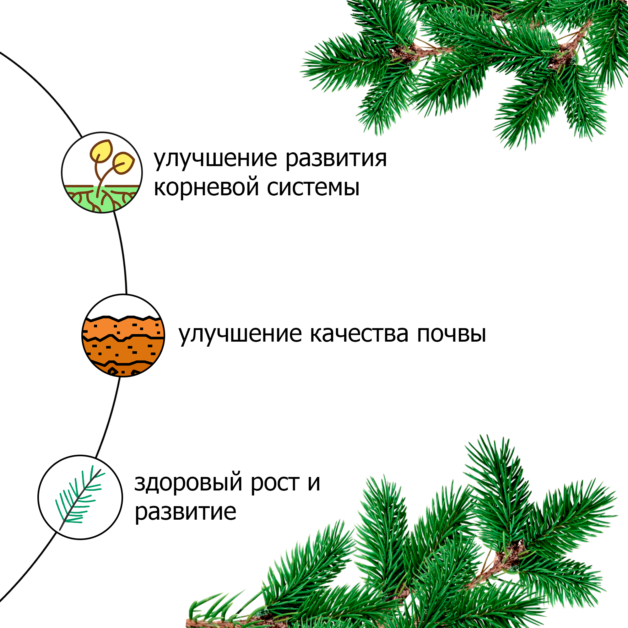 Грунт (земля) для хвойных деревьев и растений Пуршат. Почвогрунт с торфом и биогумусом (Purshat) 3 л