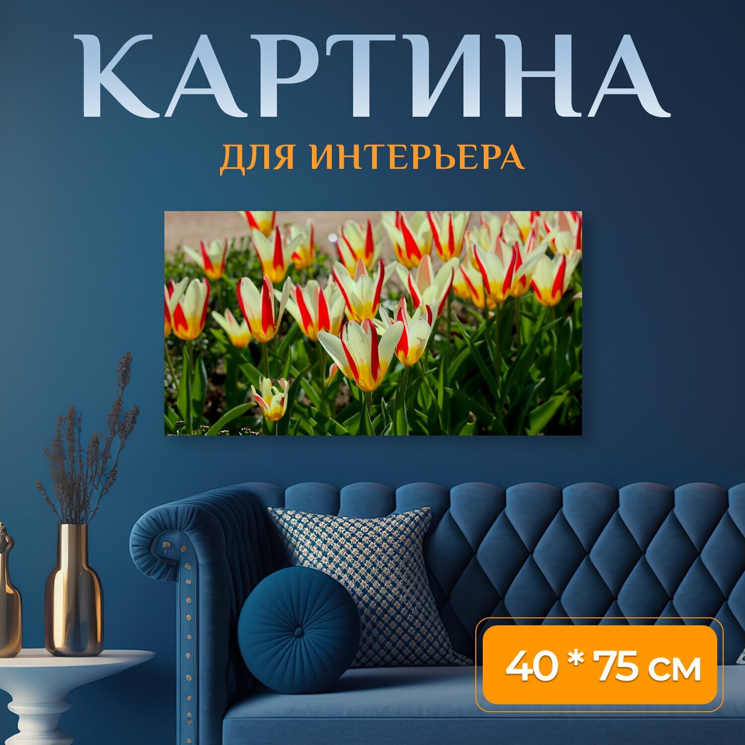 Картина на холсте "Тюльпаны, весна, весенние цветы" на подрамнике 75х40 см. для интерьера