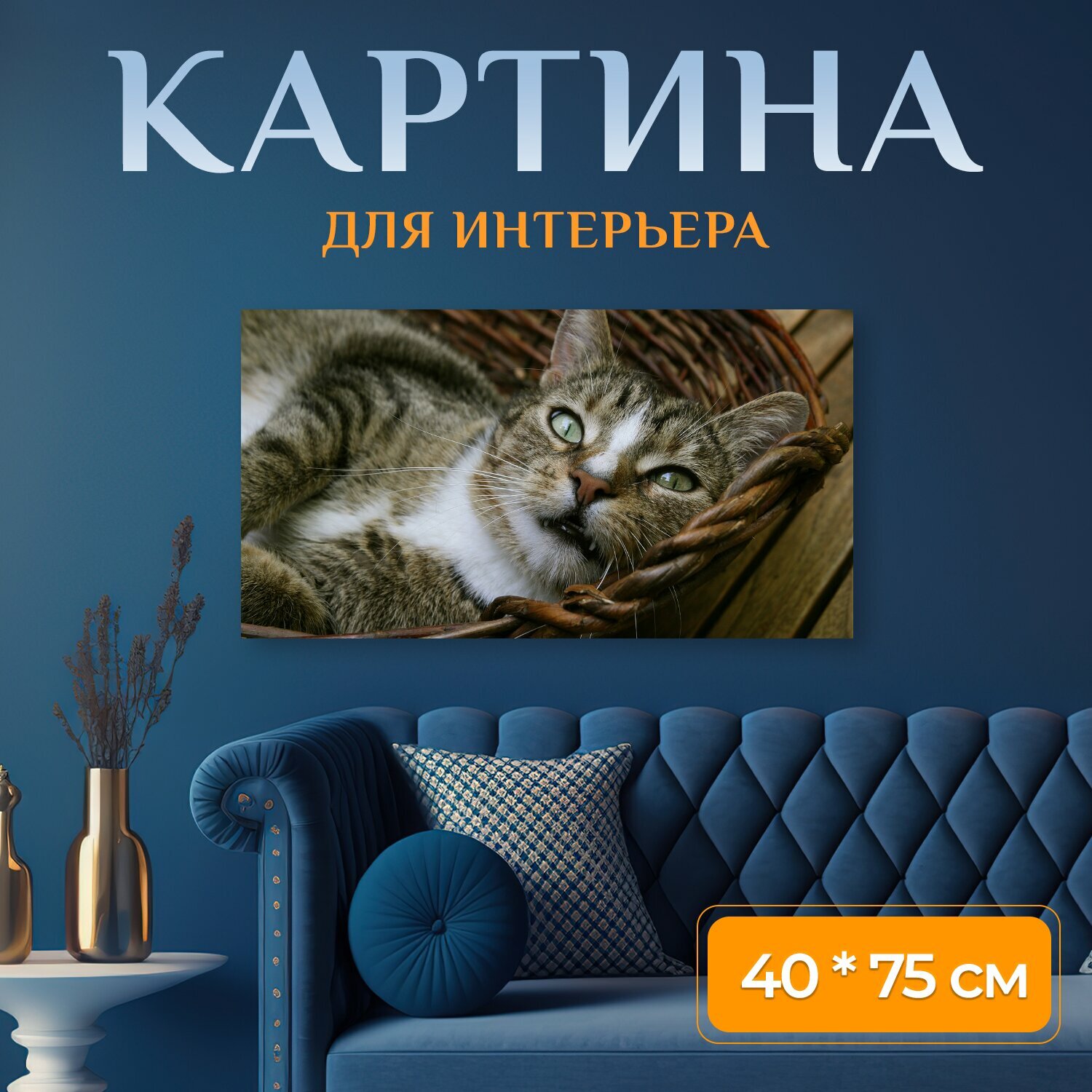 Картина на холсте "Домашняя кошка домашнее животное кот" на подрамнике 75х40 см. для интерьера