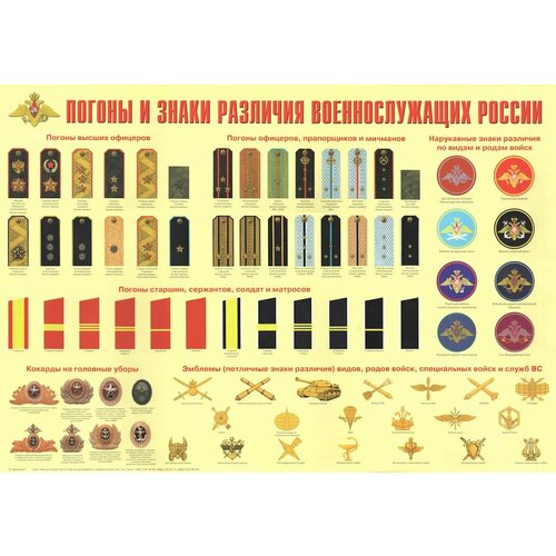 Плакат Погоны и знаки различия военнослужащих России (1 шт, А2) награды эмблемы знаки различия третьего рейха
