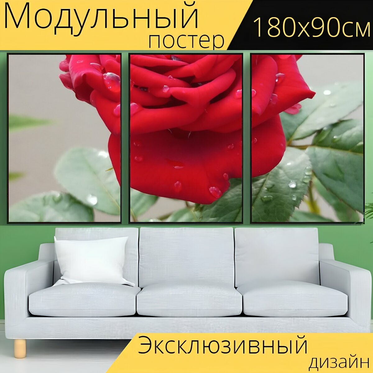 Модульный постер "Красный, красная роза, цветок" 180 x 90 см. для интерьера
