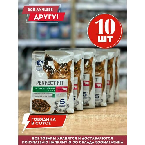 влажный корм для стерилизованных кошек karmy с курицей 24 шт х 80 г кусочки в соусе Влажный корм Перфект фит для стерилизованных кошек с говядиной в соусе 75гр.*10 шт