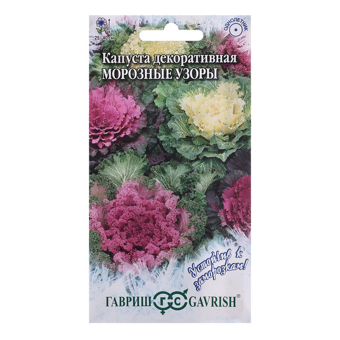 Семена Капуста 