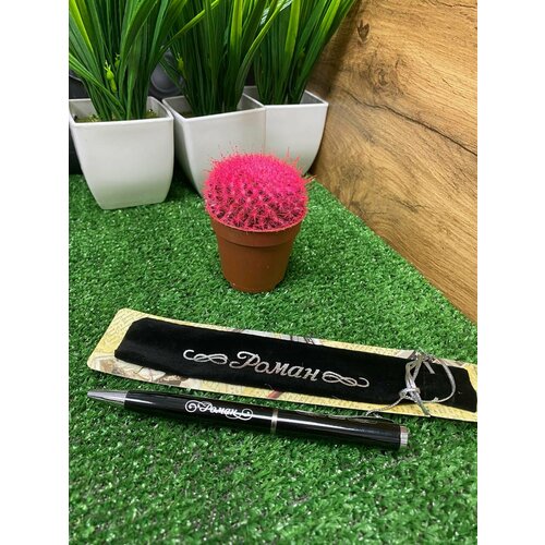 Ручка именная роман в бархатном мешочке 399₽