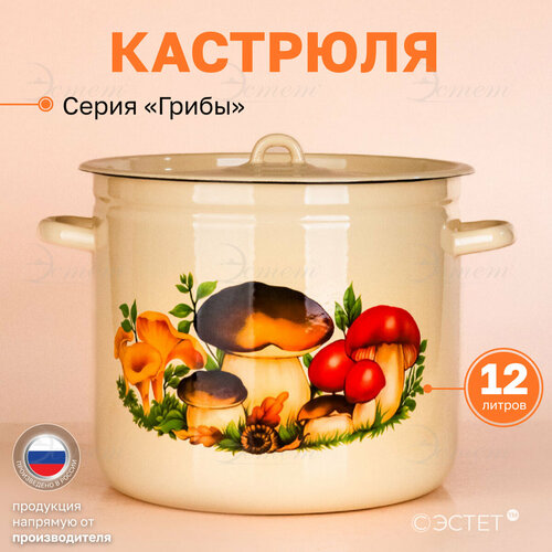 Кастрюля эмалированная для плиты 12 л бежевый, кремовый