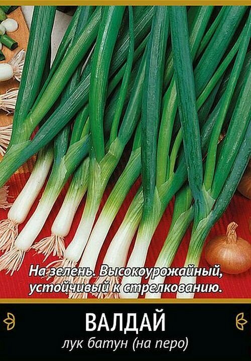 Семена Лук батун Валдай
