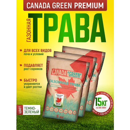 Газонная трава семена Канада Грин Премиальная 15кг / Канада Грин Premium 15кг / семена газона райграс, мятлик, овсяница