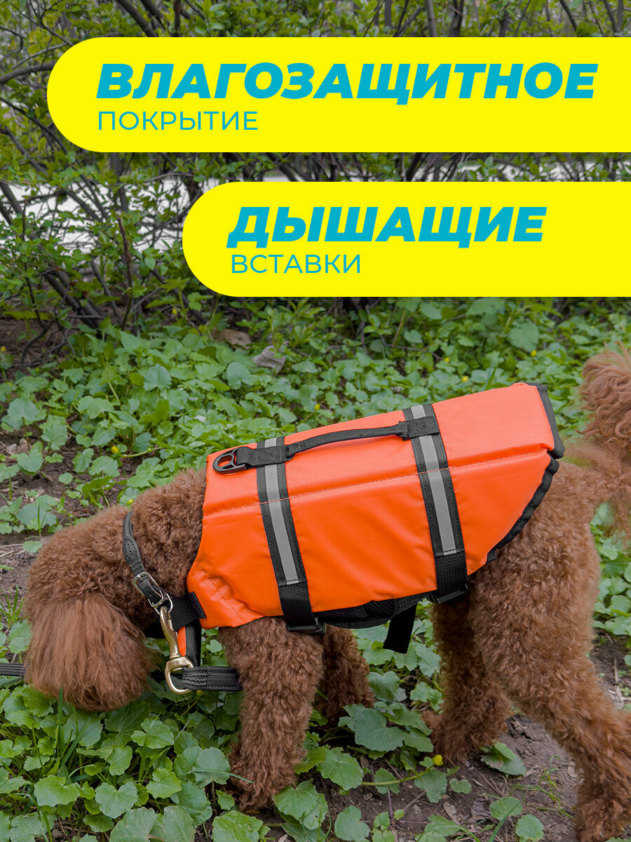 Спасательный жилет для собак - фотография № 6