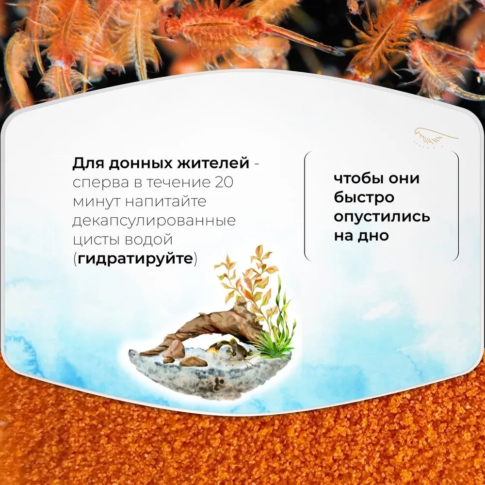 Декапсулированные яйца артемии (цисты) - корм для рыб "Сибирский дар" Artemia Salina, 250 мл - для мальков, кораллов, ракообразных - фотография № 6