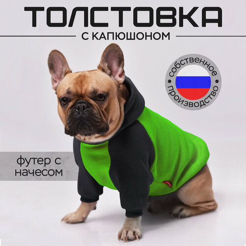 Одежда для собак французский бульдог и мопс, размер XL