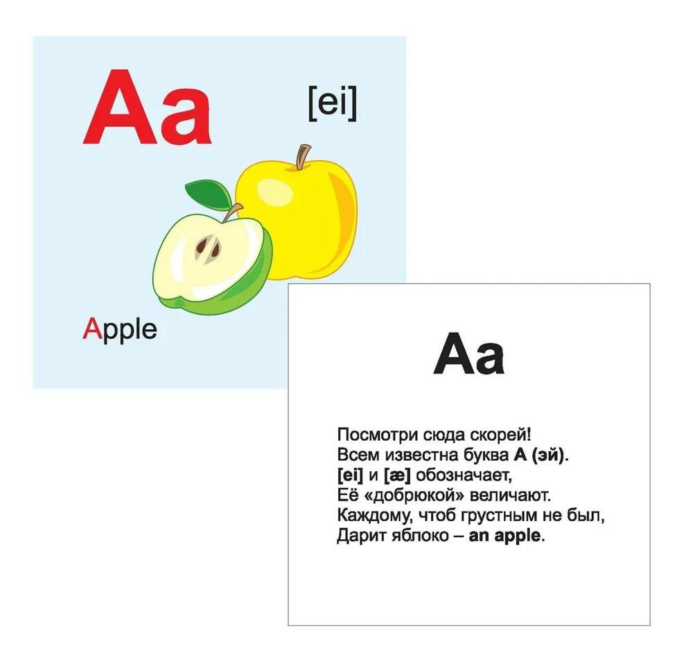 Английский алфавит. 32 красочных развивающих карточек для занятий с детьми. ДО - фото №5
