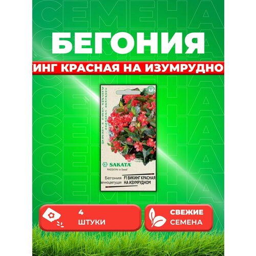 Бегония Викинг красная на изумрудном F1, гибрид. 4 шт. семена бегония викинг скарлет на изумрудном