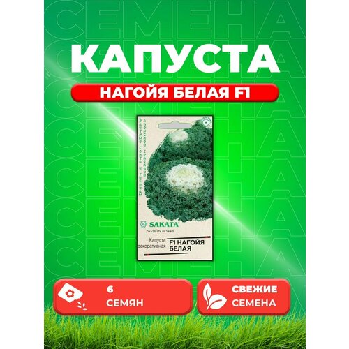 Капуста декоративная Нагойя белая F1, 6шт, Sakata капуста декоративная нагойя белая