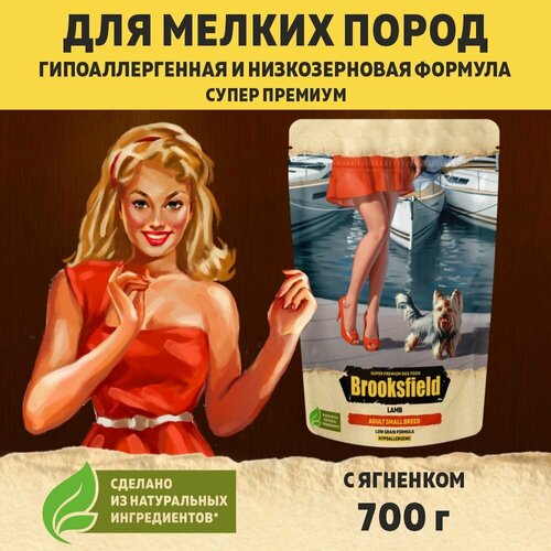Корм для собак сухой для мелких пород BROOKSFIELD (Бруксфилд) Ягненок, 700 г