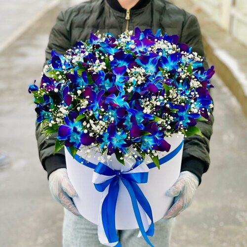 Изображение товара Большая коробка орхидей, Космические орхидеи, Цветы в коробке. Rybe-flowers.