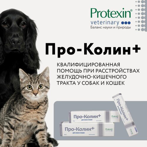 Изображение товара Protexin Пробиотик для собак и кошек Проколин 30 мл