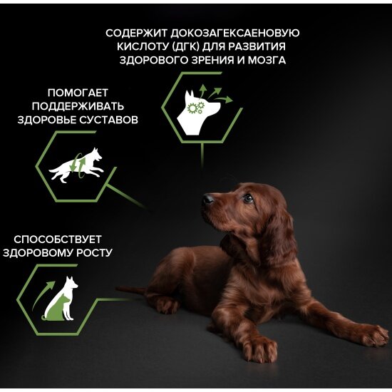Корм сухой для щенков крупных пород с атлетическим телосложением Pro Plan Puppy Large Athletic Healthy Start с курицей 12 кг — фото 1