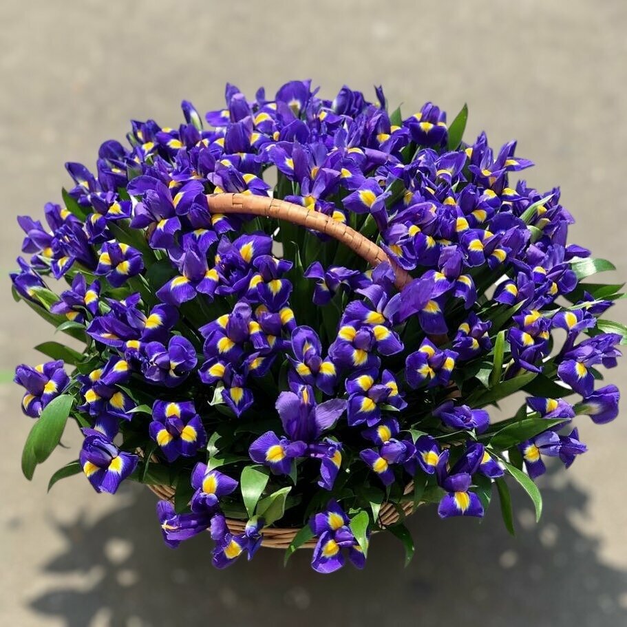 Букет из фиолетовых ирисов 101 шт в корзине красивый букет цветов шикарный премиум цветы премиум букет