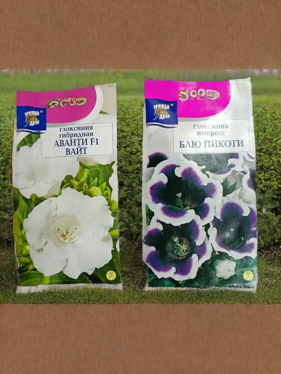 Набор семян комнатных цветов - Глоксиния 2 вида : гибридная Аванти Вайт импресс Блю Пикоти по 1 пакету