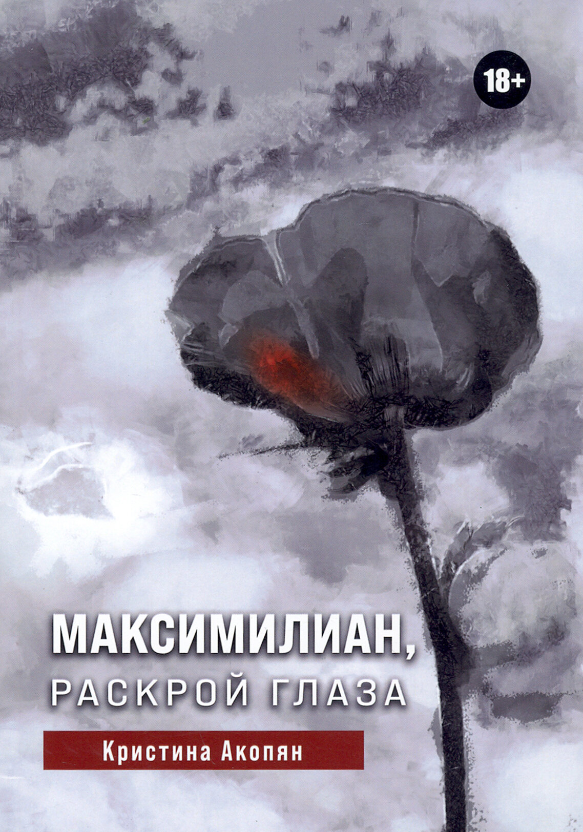 Максимилиан, раскрой глаза (Акопян Кристина С.) - фото №9