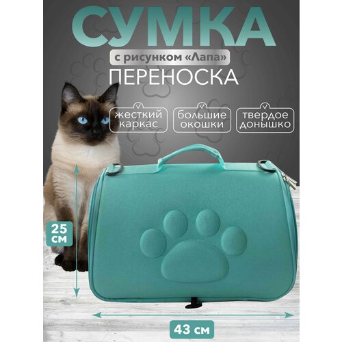 Переноска, дорожная сумка для кошек и для собак, дышащая, через плечо зеленый